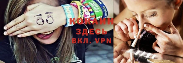 молекула духа Арсеньев