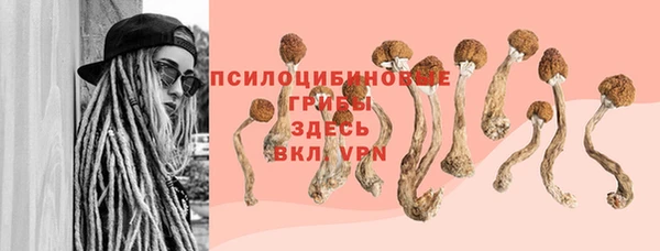 молекула духа Арсеньев