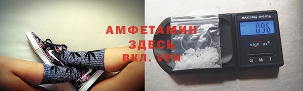 молекула духа Арсеньев