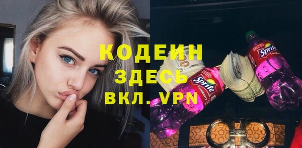 молекула духа Арсеньев
