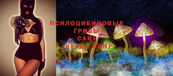 молекула духа Арсеньев