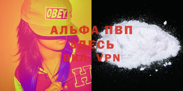 молекула духа Арсеньев