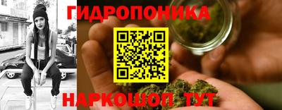 трава Кимры