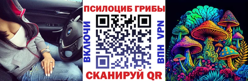 купить закладку  Кирово-Чепецк  Галлюциногенные грибы мухоморы 