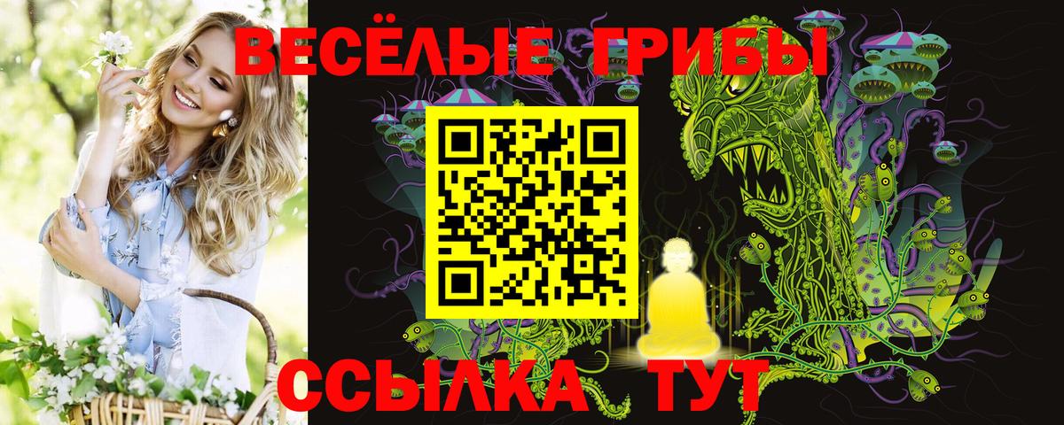 магазин продажи наркотиков  Галлюциногенные грибы ЛСД  Вход с VPN  Кирово-Чепецк  Галлюциногенные грибы Psilocybine cubensis 
