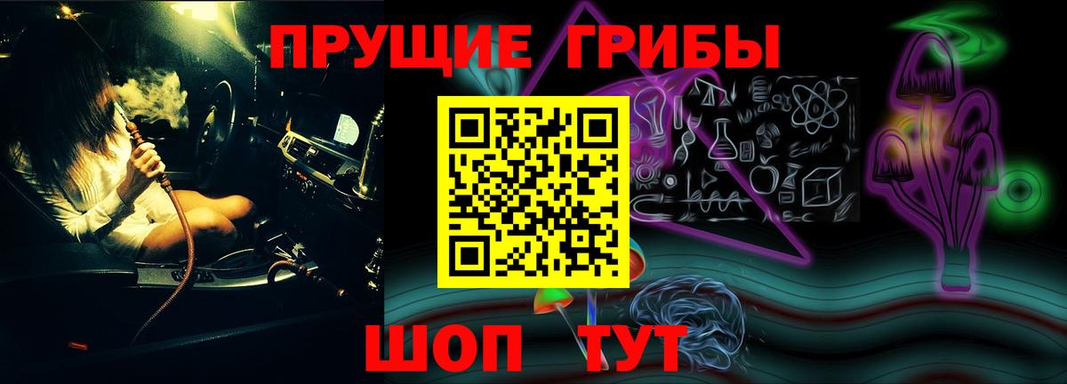 Галлюциногенные грибы Psilocybine cubensis Кирово-Чепецк